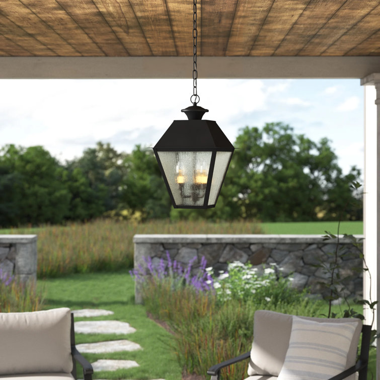 Darby Home Co Fraida Bulb Outdoor Hanging Lantern & Reviews Wayfair